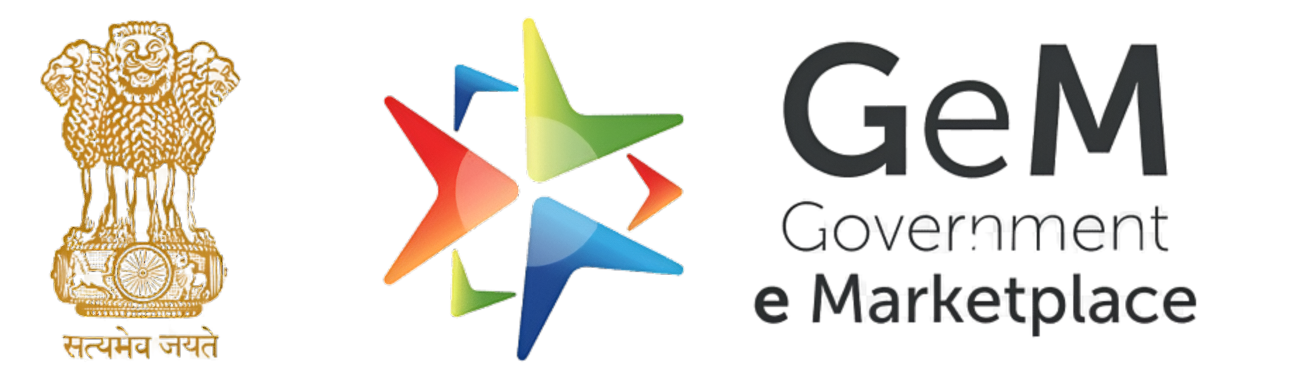 GEM Logo
